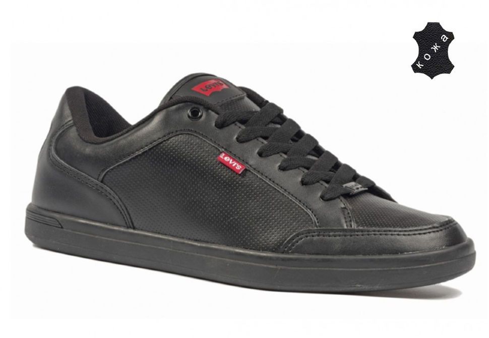 Levis Aart Core 222805 794 60