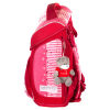 Школьный ранец для девочек Hummingbird H2 c ортопедической спинкой - Школьный ранец для девочек Hummingbird H2 c ортопедической спинкой