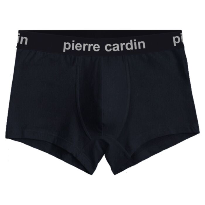 Трусы мужские Pierre Cardin boxer classic PC00003 синие 