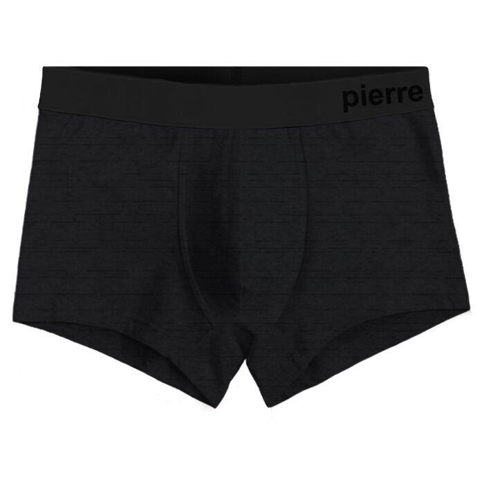 Трусы мужские Pierre Cardin boxer базовые PC00007_Grey серые 