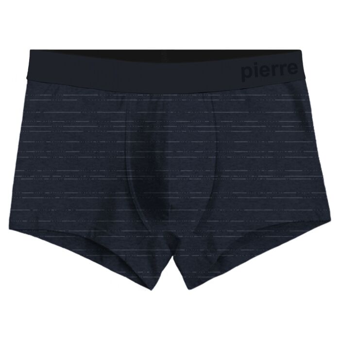 Трусы мужские Pierre Cardin boxer базовые PC00007_Navy синие 